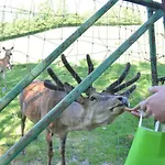 Guglhupf شقة زانكت أوزفالد